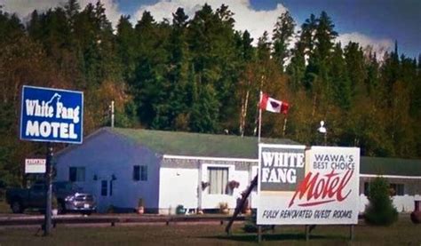 white fang motel|WHITE FANG MOTEL .